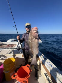 Sarasota County Report Photo 4