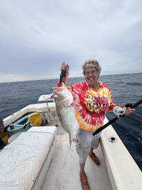 Sarasota County Report Photo 2