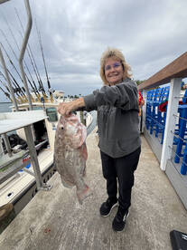 Manasota Key Report Photo 3