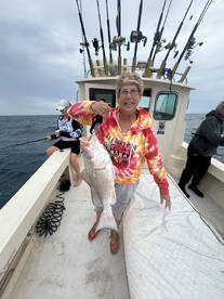 Lemon Bay Report Photo 3