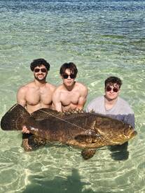 200lb Goliath grouper 