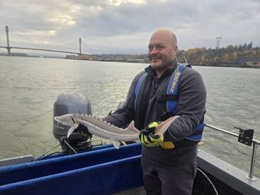 Some nice Birthday Sturgeon