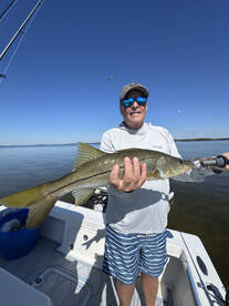 Lee County Report Photo 1