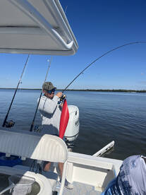 Lee County Report Photo 4