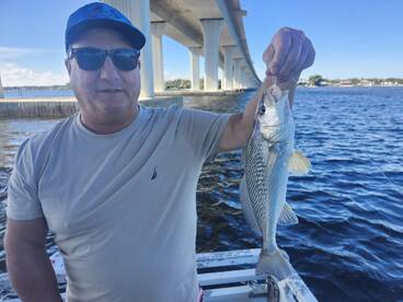 Hutchinson Island Report Photo 1