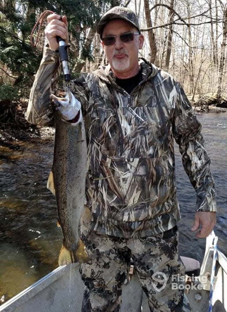 New York Report Photo 0