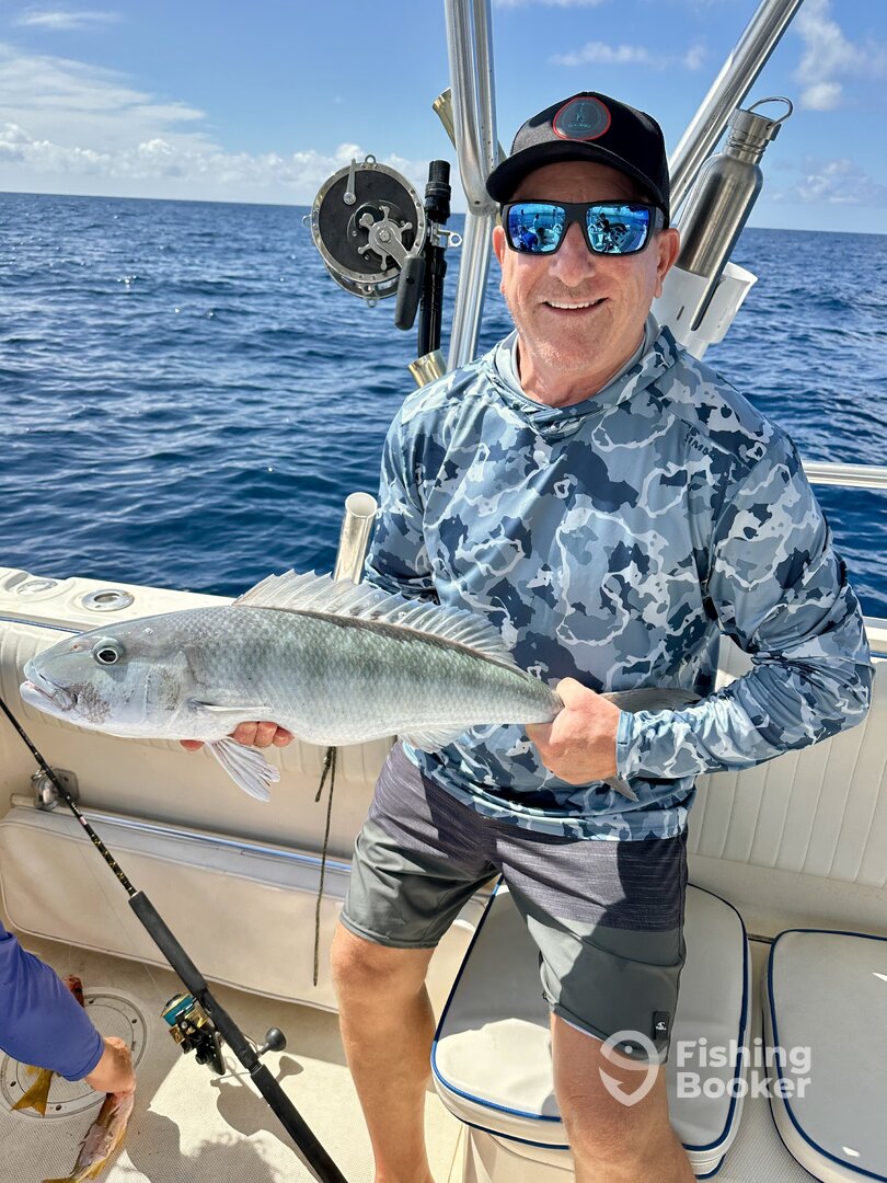 The Big Island Report Photo 0