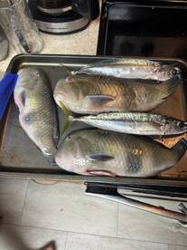 If you know, you know