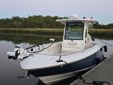 St. Simons Island Report Photo 2