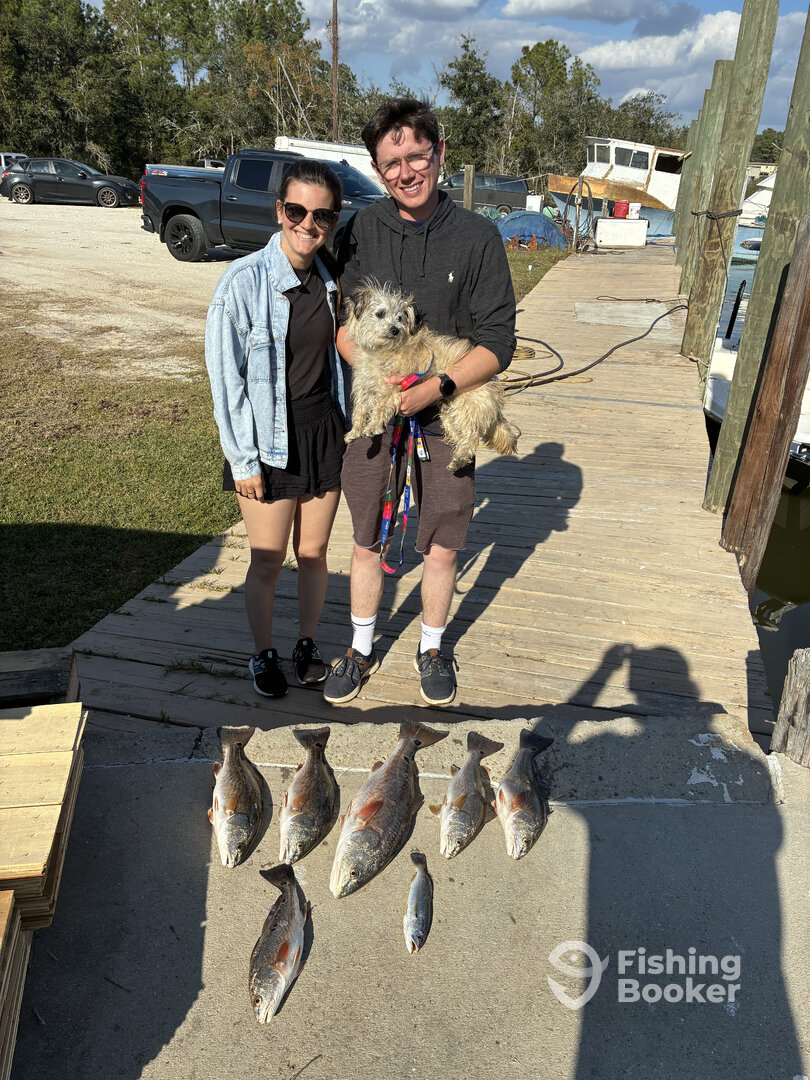 Gulf Shores Report Photo 0