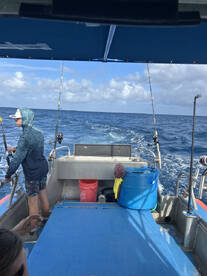 Haleiwa Report Photo 1