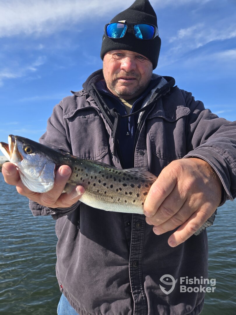 Mount Pleasant Report Photo 0