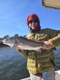 Mount Pleasant Report Photo 1