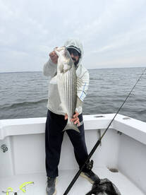 Calvert County Report Photo 2