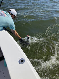 Calvert County Report Photo 1