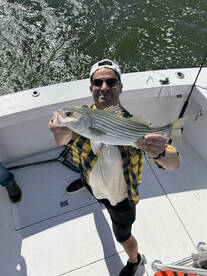 Washington DC Report Photo 2