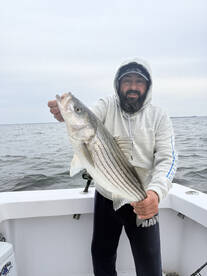 Shady Side Report Photo 1