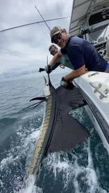 Tamarindo Report Photo 2