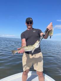 Great Day at the Office 