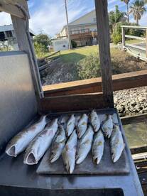 Port Mansfield Report Photo 2