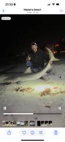 Madeira Beach Report Photo 2