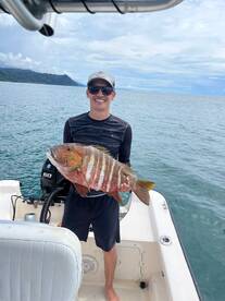a nice size rock snapper about 10 lbs