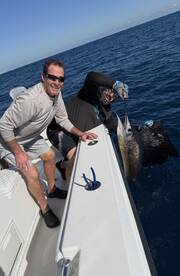 Dinner and a show today! 