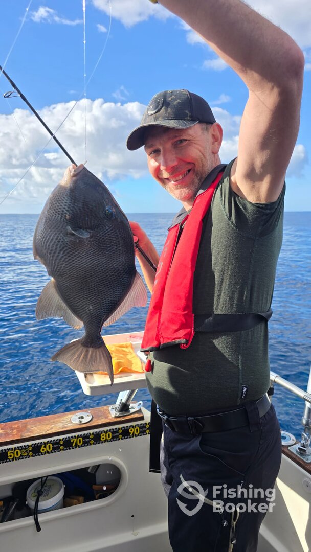 Machico Report Photo 0