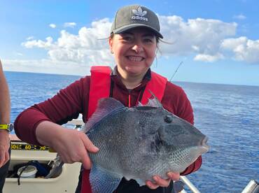 Machico Report Photo 1