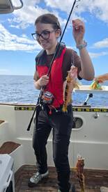 Machico Report Photo 4