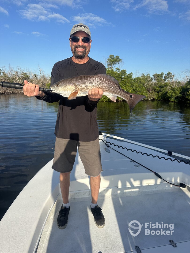 Lemon Bay Report Photo 0