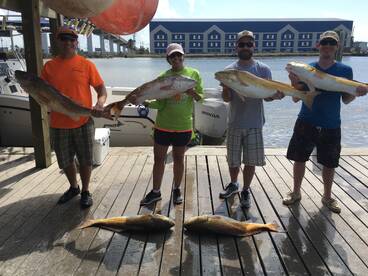 Kingfish, Spanish Mackerel and Bull Redf