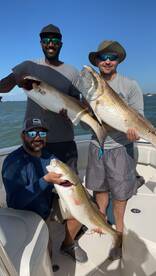 Galveston Report Photo 1