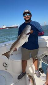 Galveston Report Photo 2