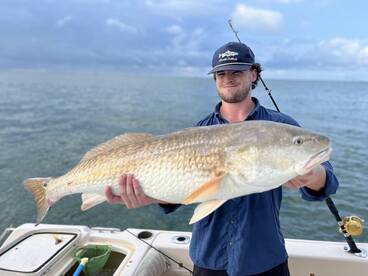 Galveston Island Report Photo 4