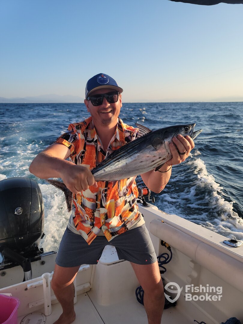 Nayarit Report Photo 0