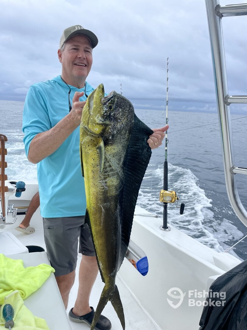 Marina Pez Vela Report Photo 0