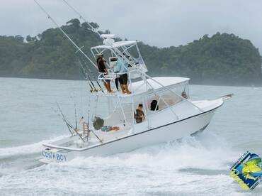 Quepos Report Photo 1