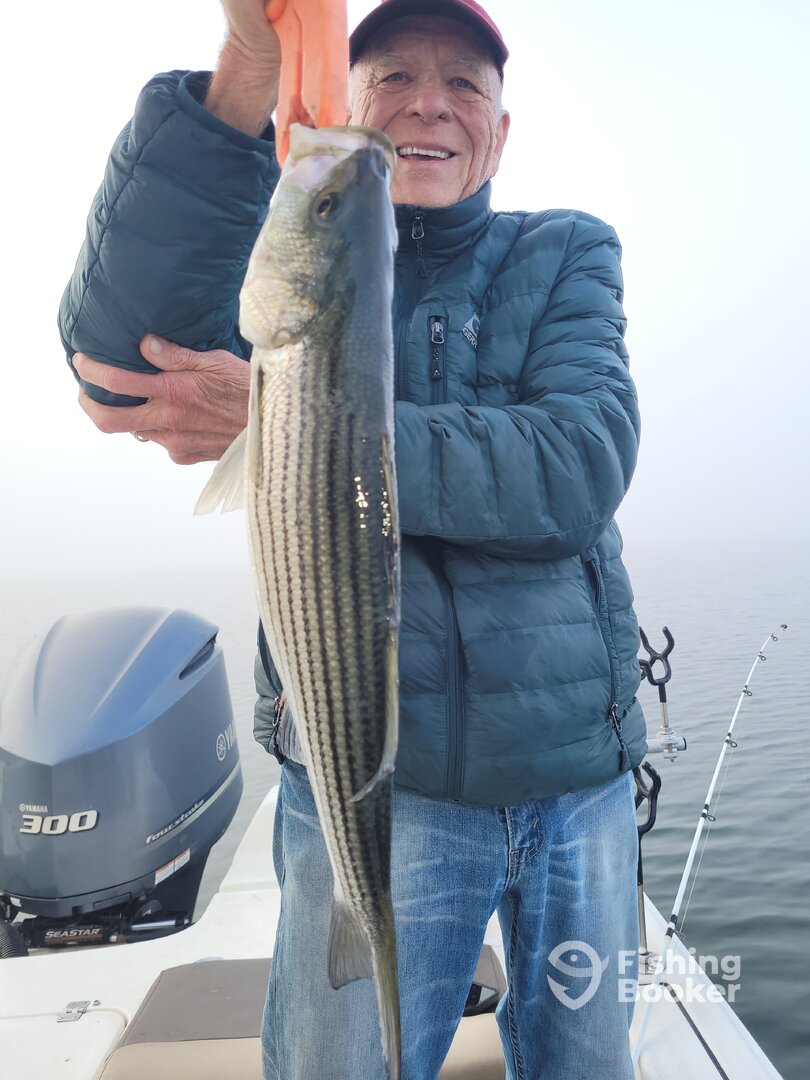 Gainesville Report Photo 0