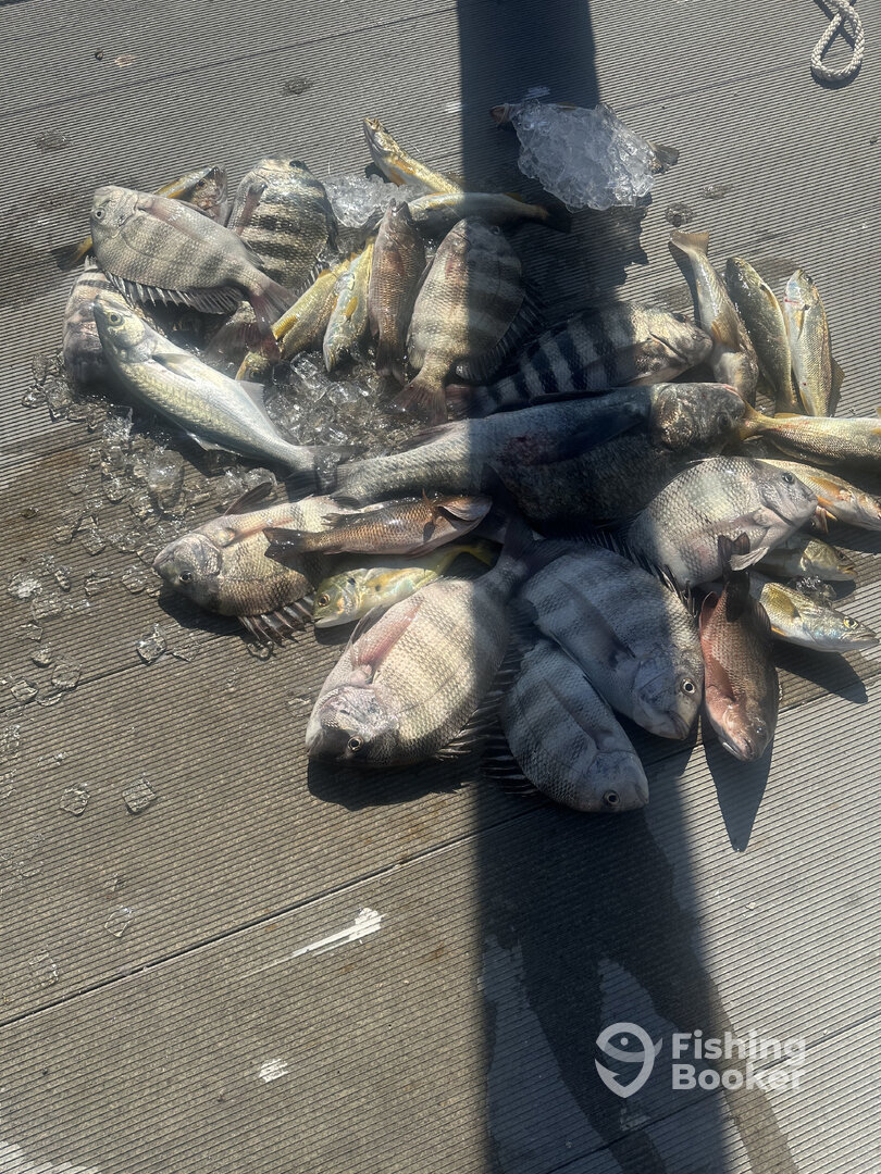 Mosquito Lagoon Report Photo 0