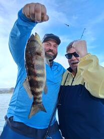 Dana Point Report Photo 1