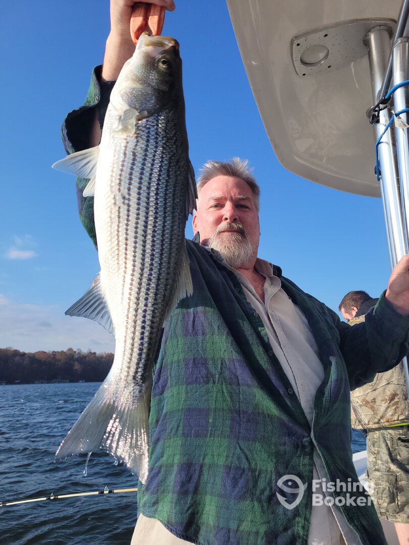 Georgia Report Photo 0