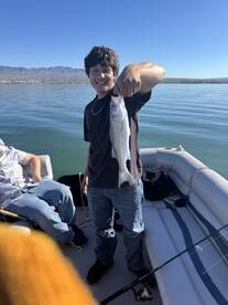 Lake Havasu City Report Photo 4