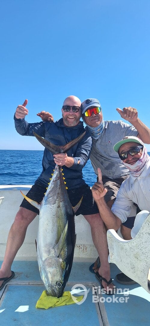 San Jose del Cabo Report Photo 0