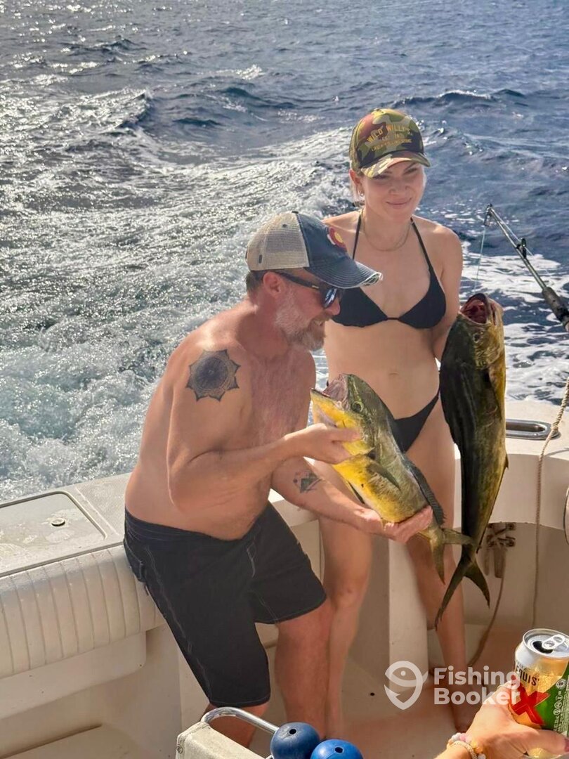 Puerto Aventuras Report Photo 0