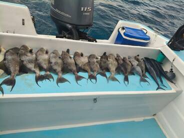 Playa Del Carmen Report Photo 2