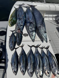 U.S. Virgin Islands Report Photo 1