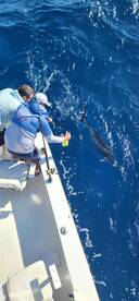 Key West Report Photo 1