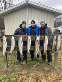 Fall/ winter steelhead season is in full