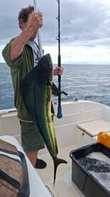 Herradura Report Photo 2